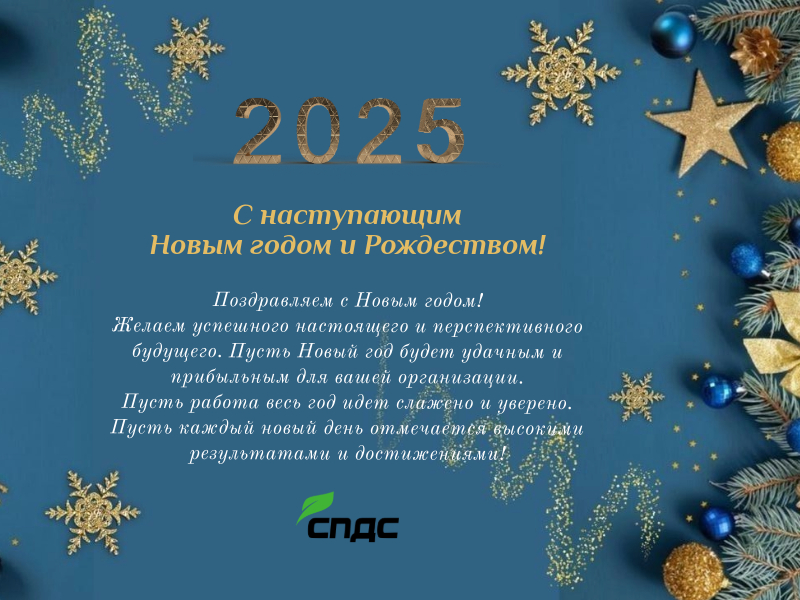Поздравляем с Новым 2025 годом и Рождеством! Поздравляем с Новым 2025 годом и Рождеством!