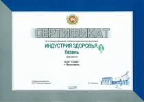Индустрия здоровья. Казань